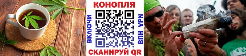 закладка  Новосиль  Cannafood конопля 